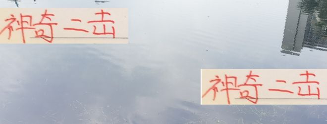 神奇二擊！海港跟申花前15輪拿分第一后半程突然拉胯了