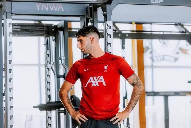 渣叔沒有看走眼！7000萬歐巨星成利物浦真核，麥卡徹底失去主力